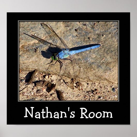 Blue Dragonfly Kinder Room Specialized Room Poster (Voorkant)