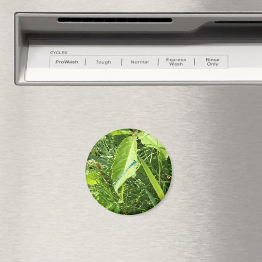 Blue Dragonfly Magnet (In Situ (Lave-vaisselle))