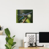 Blue Dragonfly Poster (Thuiskantoor)