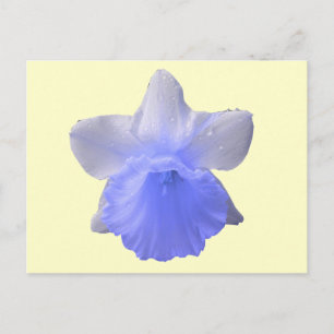 Blue Dripping Daffodil Flower Briefkaart