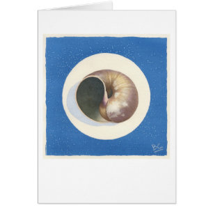 BLUE ECHO SHELL ECHOING