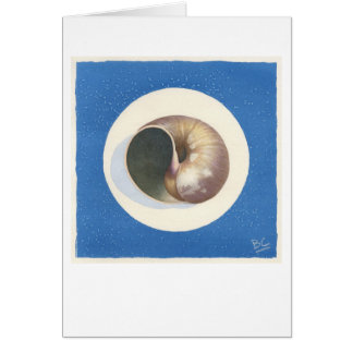 BLUE ECHO SHELL ECHOING