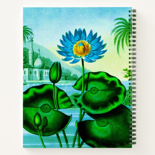 Blue Egyptian Water Lily / Lotus Journal (Dos)