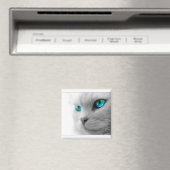 Blue Eyed Cat Magnet Magneet (Insitu (Vaatwasser))