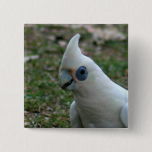 Blue Eyed Cockatau Vierkante Button 5,1 Cm
