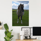 Blue Eyed Dartmoor Pony Poster (Thuiskantoor)