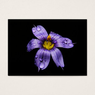 Blue Eyed Grass ~ ATC Visitekaartje