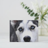 Blue Eyed Husky Briefkaart (Staand voorkant)