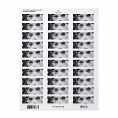 Blue Eyed Husky Mailing Labels (Full Sheet)