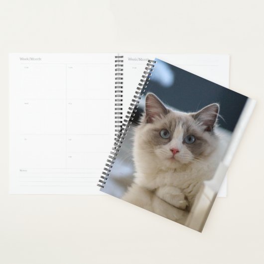 Blue Eyed Kat Planner (Display)