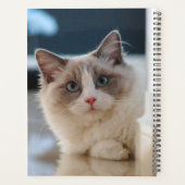 Blue Eyed Kat Planner (Achterkant)
