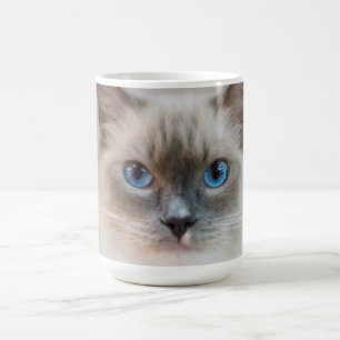 Blue Eyed Ragdoll Cat Koffiemok