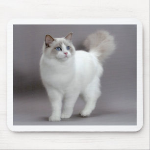 Blue-Eyed Ragdoll Cat Purfection Muismat