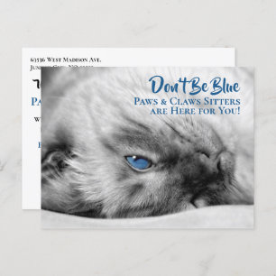 Blue Eyed Siamese Pet Sitter's Custom Briefkaart