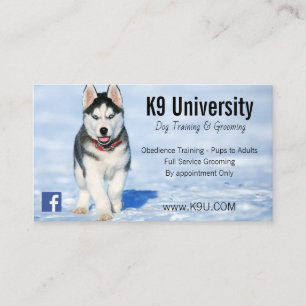 Blue Eyed Siberian Husky Dog Training/Groom Card Visitekaartje