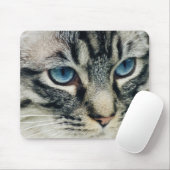 Blue-Eyed Tabby Cat Close-up Muismat (Met muis)