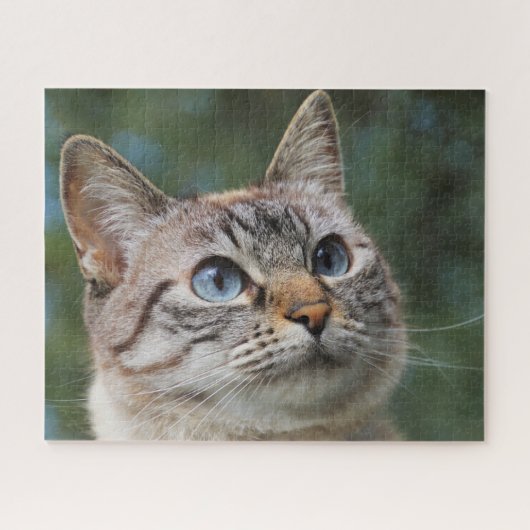 Blue Eyed Tabby Cat Jigzaag Puzzle Legpuzzel (Horizontaal)