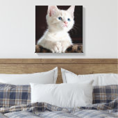 Blue Eyed White Kitten Canvas Afdruk (Insitu (Slaapkamer))