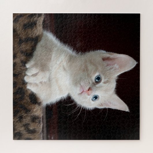 Blue Eyed White Kitten Legpuzzel (Horizontaal)
