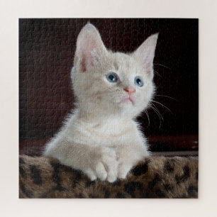 Blue Eyed White Kitten Legpuzzel
