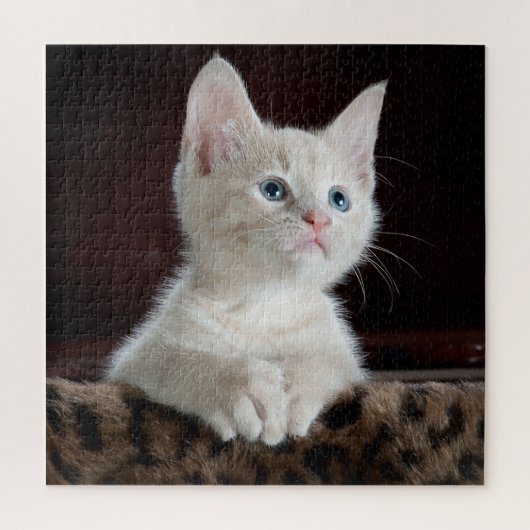 Blue Eyed White Kitten Legpuzzel (Verticaal)