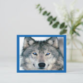 Blue Eyed Wolf Briefkaart (Staand voorkant)