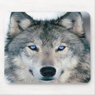 Blue Eyed Wolf Muismat