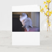 Blue Eyes, carte (Fleur jaune)