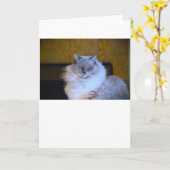 Blue Eyes, carte (Fleur jaune)