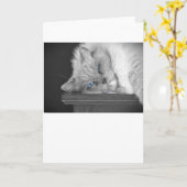 Blue Eyes, carte (Fleur jaune)