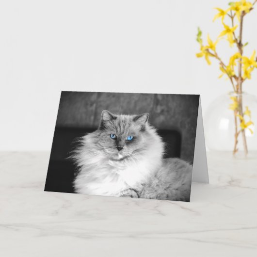 Blue Eyes, carte (Fleur jaune)