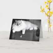 Blue Eyes, carte (Fleur jaune)