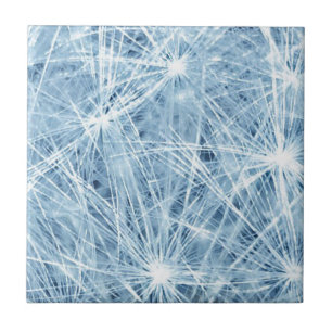 Blue Fireworks Daisy! Tegeltje