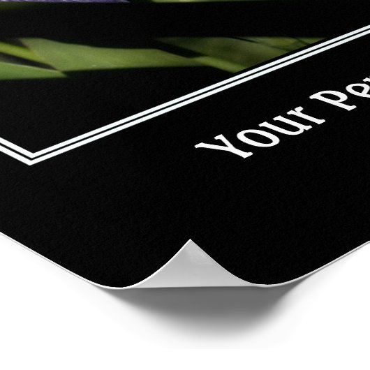 Blue Flag Iris Creëer Uw eigen prijsopgave Poster (Hoek)