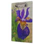 Blue Flag Iris Fleur de Lys French Canada Quebec Klembord (Links)