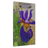 Blue Flag Iris Fleur de Lys French Canada Quebec Klembord (Rechts)