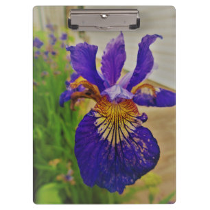 Blue Flag Iris Fleur de Lys French Canada Quebec Klembord