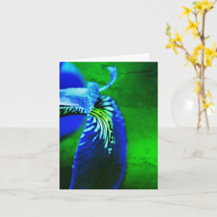 Blue Flag Iris Flower Art Note Kaart