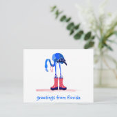 Blue Flamingo, Greetings uit Florida Briefkaart (Staand voorkant)