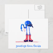 Blue Flamingo, Greetings uit Florida Briefkaart (Voorkant / Achterkant)