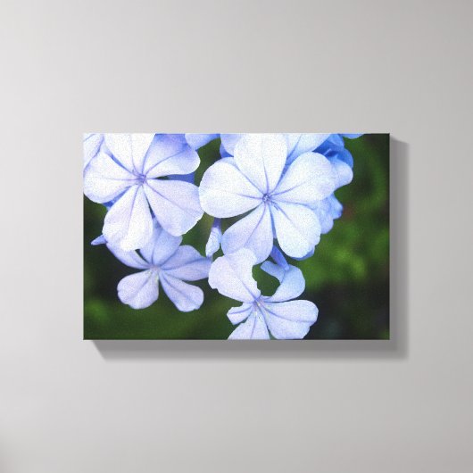 Blue Floral Bokeh Canvas Afdruk (Voorkant)