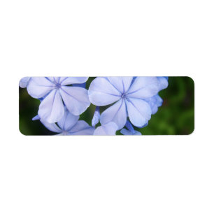 Blue Floral Bokeh Etiket