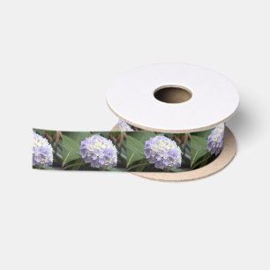 Blue Floral Hydrangea Foto Lint