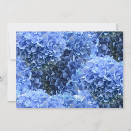 Blue Floral Wedding Invitations (Dos)