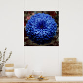 Blue Flower Close-up foto Poster (Keuken)