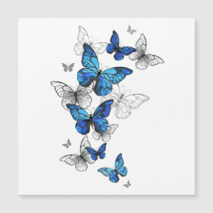 Blue Flying Butterflies Morpho