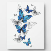 Blue Flying Butterflies Morpho Fotoplaat (Voorkant)