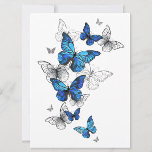 Blue Flying Butterflies Morpho Kaart