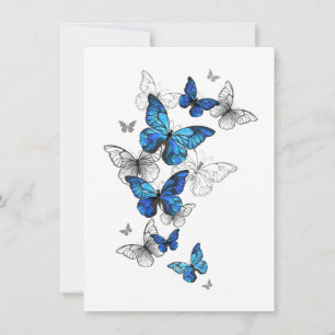 Blue Flying Butterflies Morpho Kaart