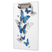 Blue Flying Butterflies Morpho Klembord (Links)